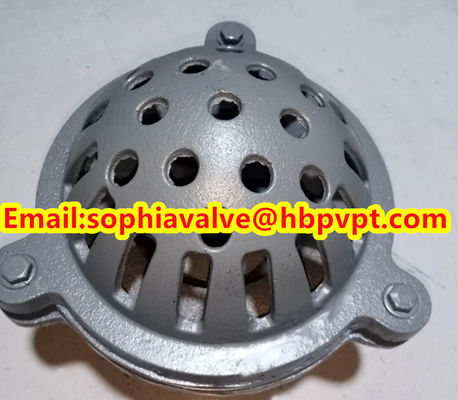 PN16 GG20 BS21 cast iron foot valve