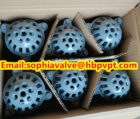 PN16 GG20 BS21 cast iron foot valve