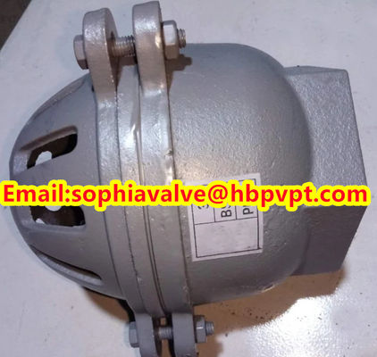 4'' GG20 BS21 PN16 threaded foot valve