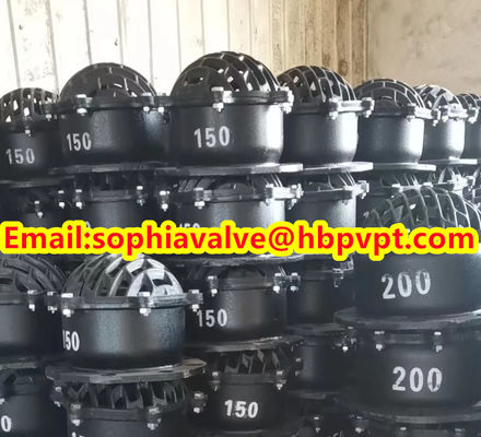 4'' GG20 BS21 PN16 threaded foot valve