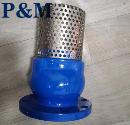 Ductile iron ANSI flanged foot valve
