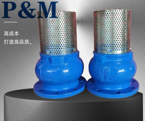 Ductile iron ANSI flanged foot valve
