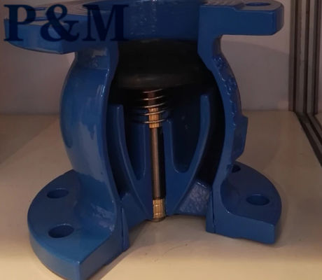 Ductile iron ANSI flanged foot valve