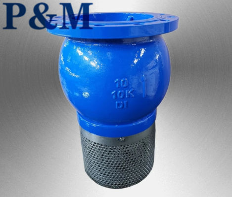 Ductile iron ANSI flanged foot valve