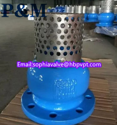 dn100 pn16 GGG50 foot valve stainless steel screen