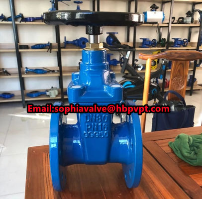 GGG50 resilient seal BS gate valve