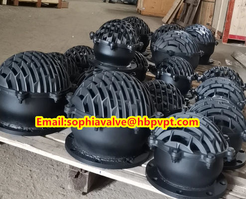 BS4504 flange grey iron valve cover foot valve