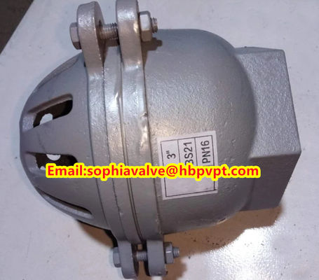 female thread foot valve material GG20