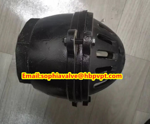 female thread foot valve material GG20