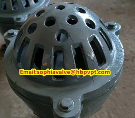 female thread foot valve material GG20