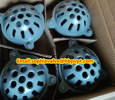 female thread foot valve material GG20
