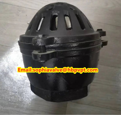 Pawofuou export BS21 cast iron foot valve from China