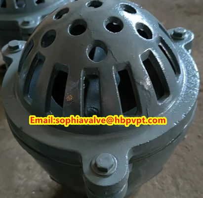 Pawofuou export BS21 cast iron foot valve from China