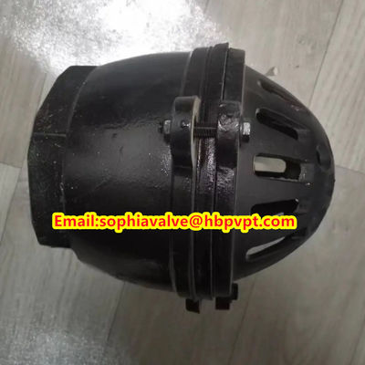 Pawofuou export BS21 cast iron foot valve from China