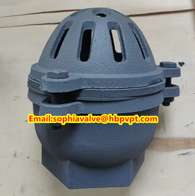Pawofuou export BS21 cast iron foot valve from China
