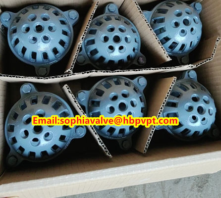 Pawofuou export BS21 cast iron foot valve from China