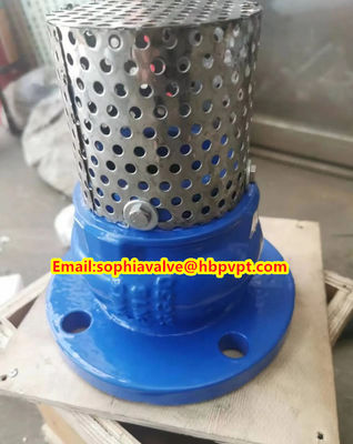 PN10 or PN16 cast iron flanged foot valve Supplier