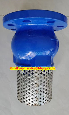 PN10 or PN16 cast iron flanged foot valve Supplier