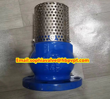 PN10 or PN16 cast iron flanged foot valve Supplier