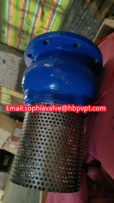 JIS ANSI 125LB cast iron flanged foot valve