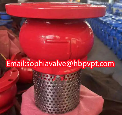 JIS ANSI 125LB cast iron flanged foot valve