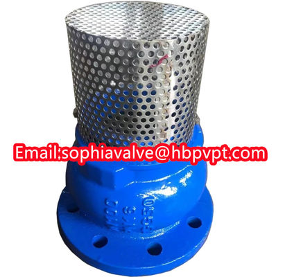 JIS ANSI 125LB cast iron flanged foot valve