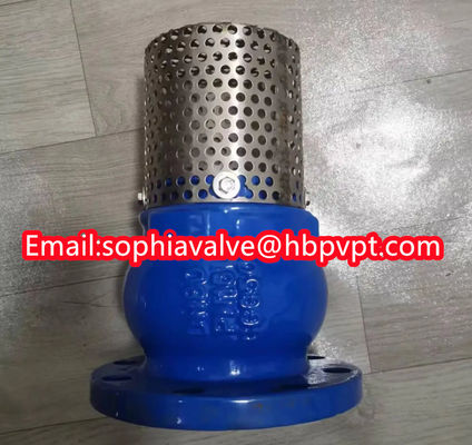 JIS ANSI 125LB cast iron flanged foot valve