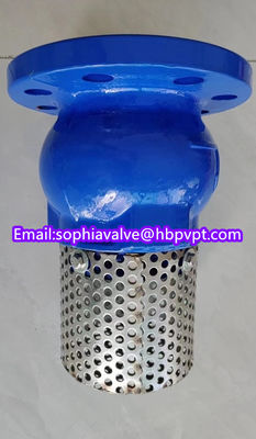 150lb ANSI stainless steel screen cast iron flanged foot valve