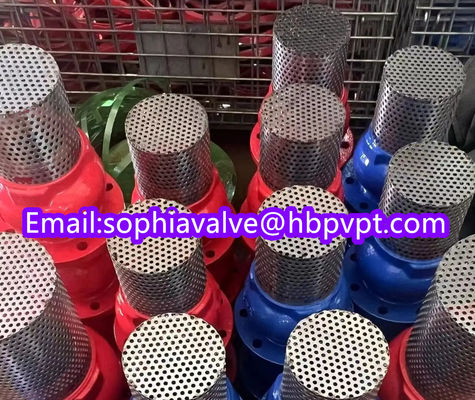 150lb ANSI stainless steel screen cast iron flanged foot valve