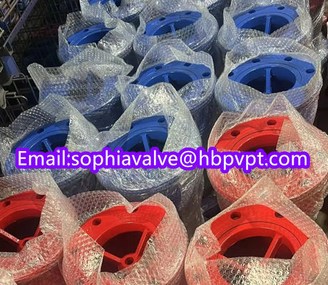 150lb ANSI stainless steel screen cast iron flanged foot valve