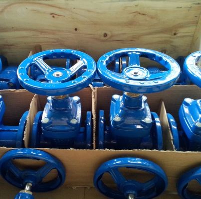 DIN non-rising stem F5 cast iron gate valve