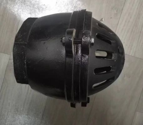 foot valve with material cast iron GG20 BS21 PN16