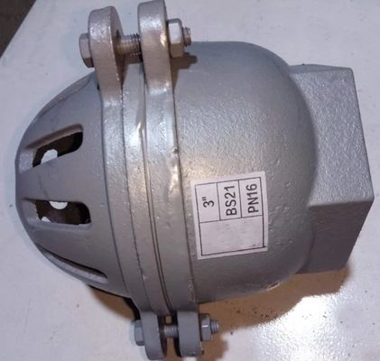 foot valve with material cast iron GG20 BS21 PN16