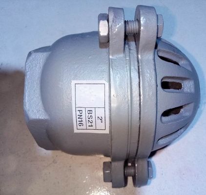 foot valve with material cast iron GG20 BS21 PN16