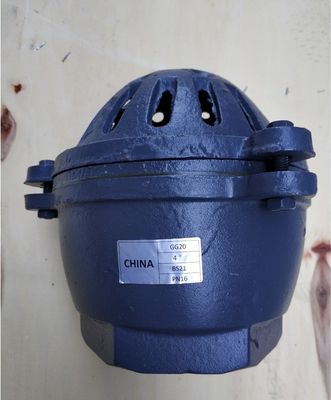 China threaded foot valve supplier BS21 GG20 PN16