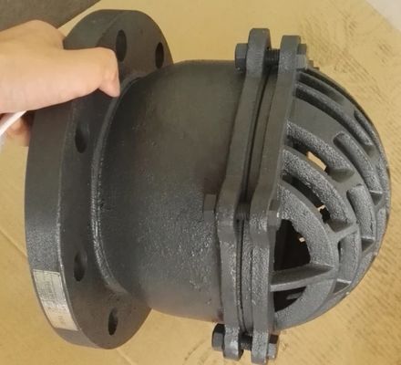 6'' flanged cast iron foot valve from Hebei valve manufacturer