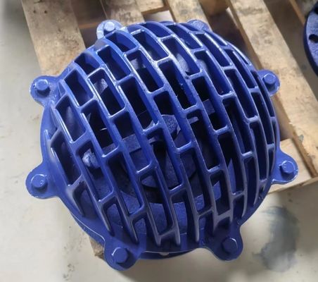 bs4504 GGG50 flanged foot valve supplier