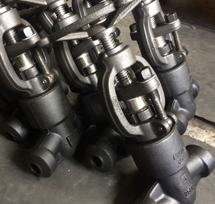 1500LB A105 ANSI forged gate valve factory
