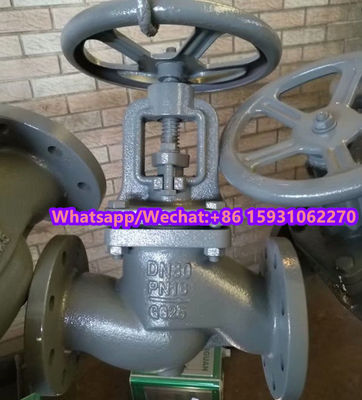 DN125 PN16 GG25 globe valve supplier