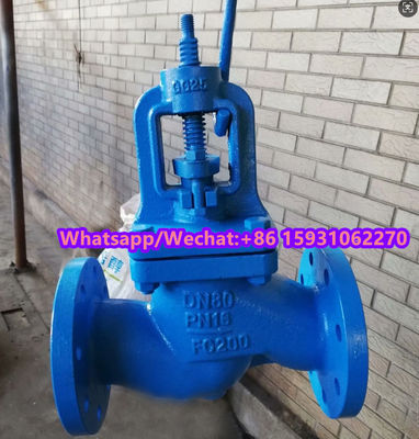DN125 PN16 GG25 globe valve supplier