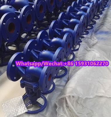DN125 PN16 GG25 globe valve supplier