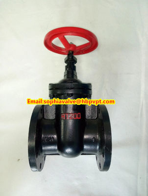 BS flanged gate valve with metal seal