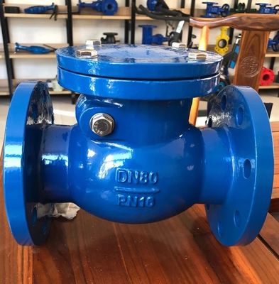 cast iron DIN resilient seal flanged check valve