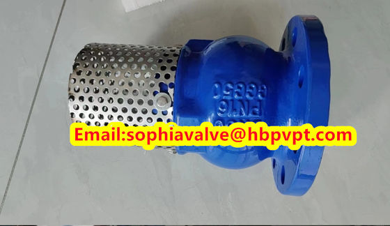 DN80 GGG50 PN16 cast iron flanged foot valve
