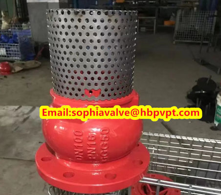 DN80 GGG50 PN16 cast iron flanged foot valve