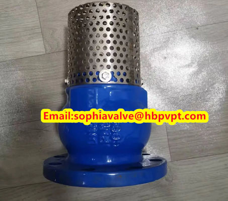 DN80 GGG50 PN16 cast iron flanged foot valve