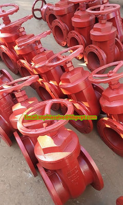 high quality BS PN10/16 cast iron gate valve