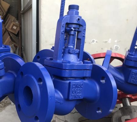DIN bellows flanged cast iron globe valve