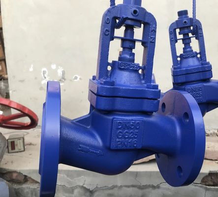 DIN bellows flanged cast iron globe valve