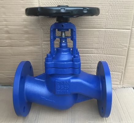 DIN bellows flanged cast iron globe valve